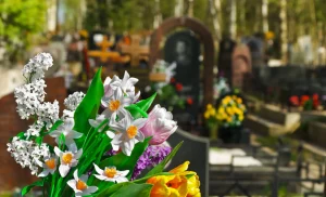 Exploring the Environmental Benefits of Cremation