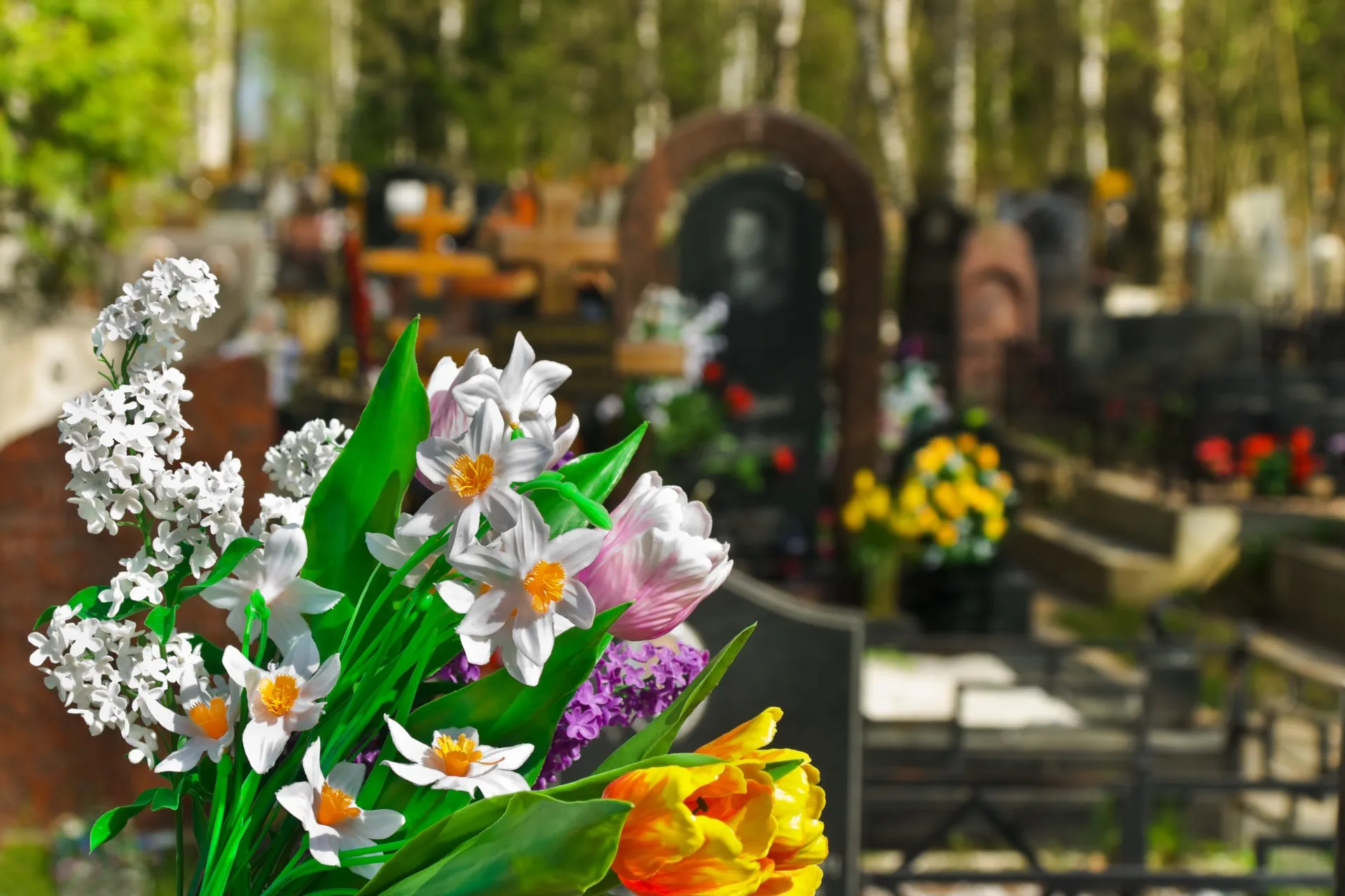 Exploring the Environmental Benefits of Cremation